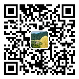 口袋牛店app店主官网下载安装